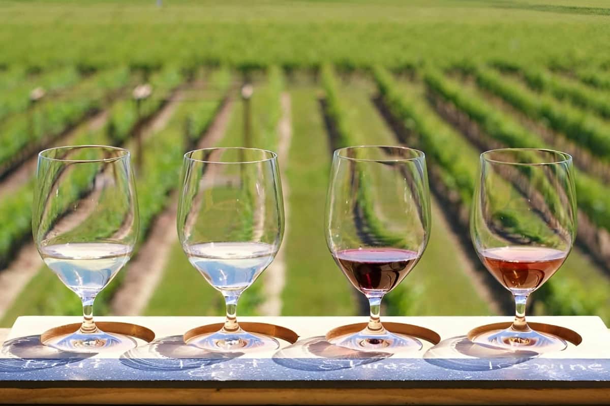 Niagara-on-the-Lake, Market & Winery Visit: Guided Tour from Toronto Wine Tasting Including Icewine