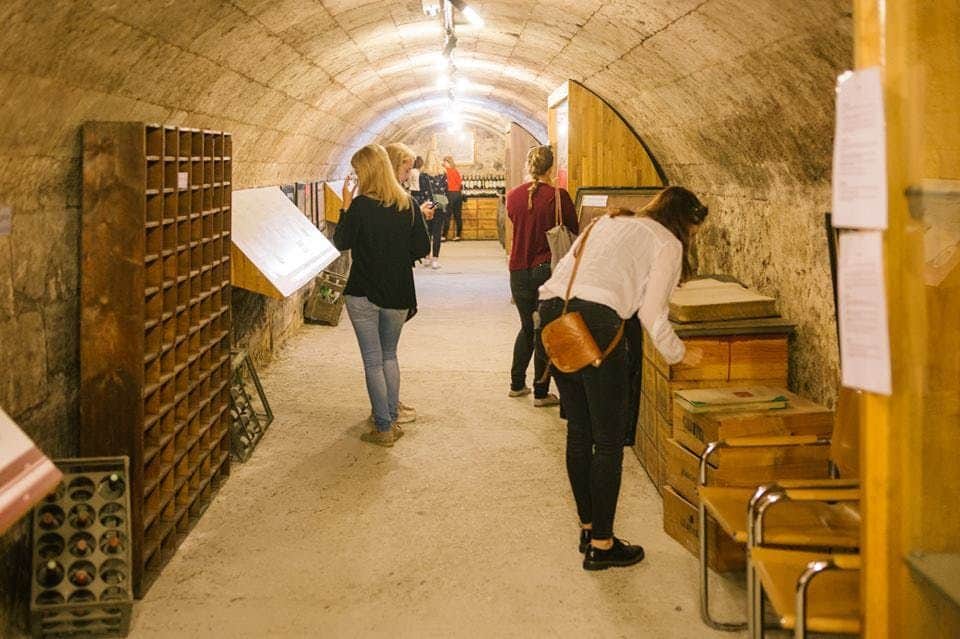 People examine documents and artifacts inside a well-lit, arched tunnel with wooden displays lining the walls.