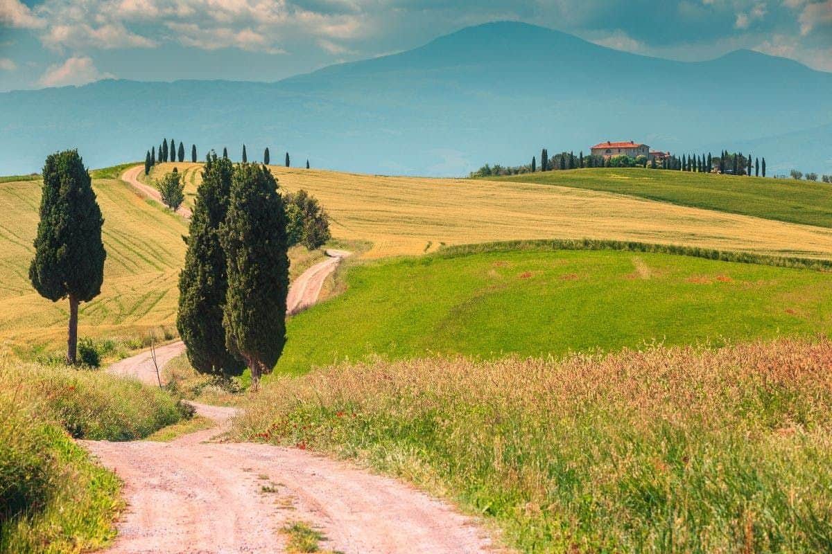Chianti: Guided Tour from Siena + Wine & Olive Oil Tasting Chianti & Castle Tour