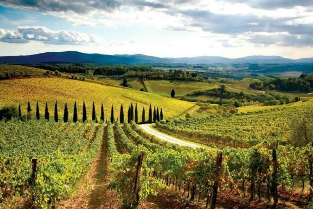 Siena