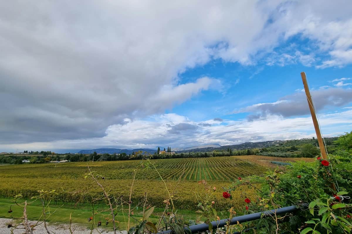 Lake Garda: Wine Tasting + Bardolino Vineyard Tour Panoramic view & vineyards