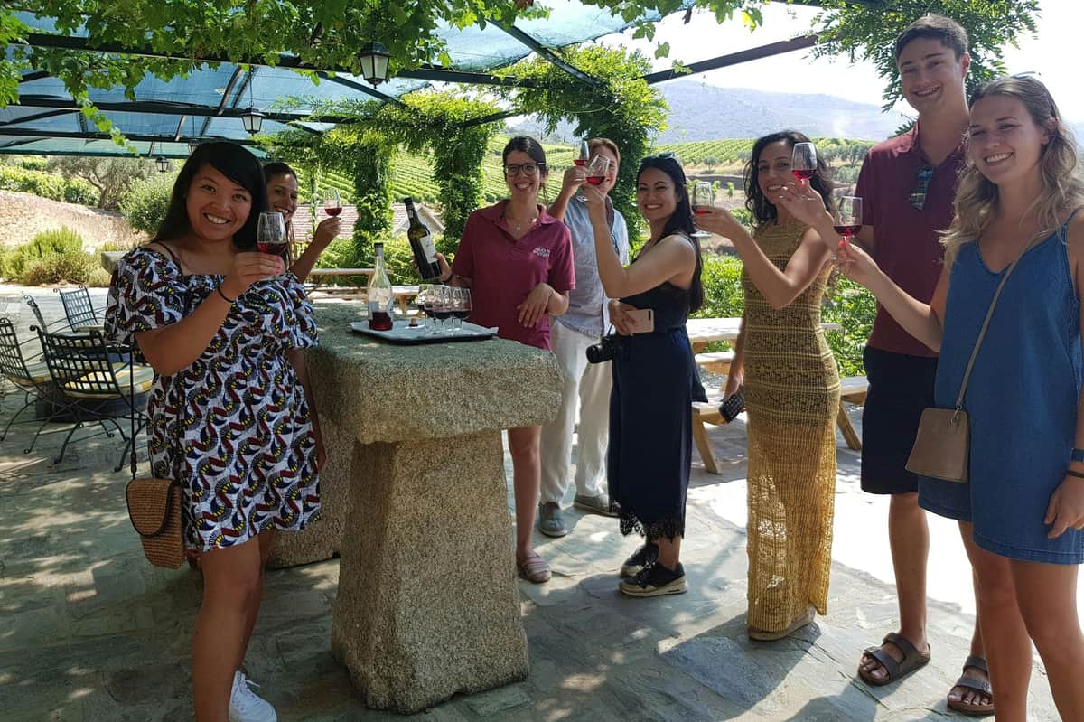 Douro Valley: Wine Tour + Lunch from Porto Wine Tasting