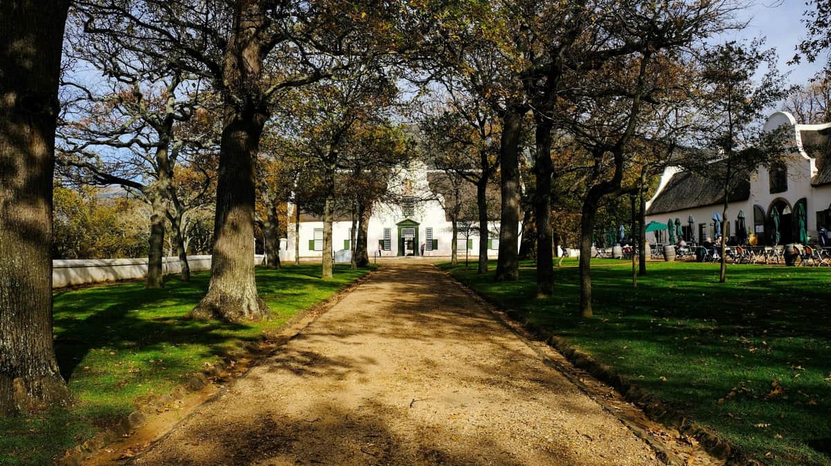 A tree-lined dirt path leads to a white building with a green door, surrounded by grass and trees.