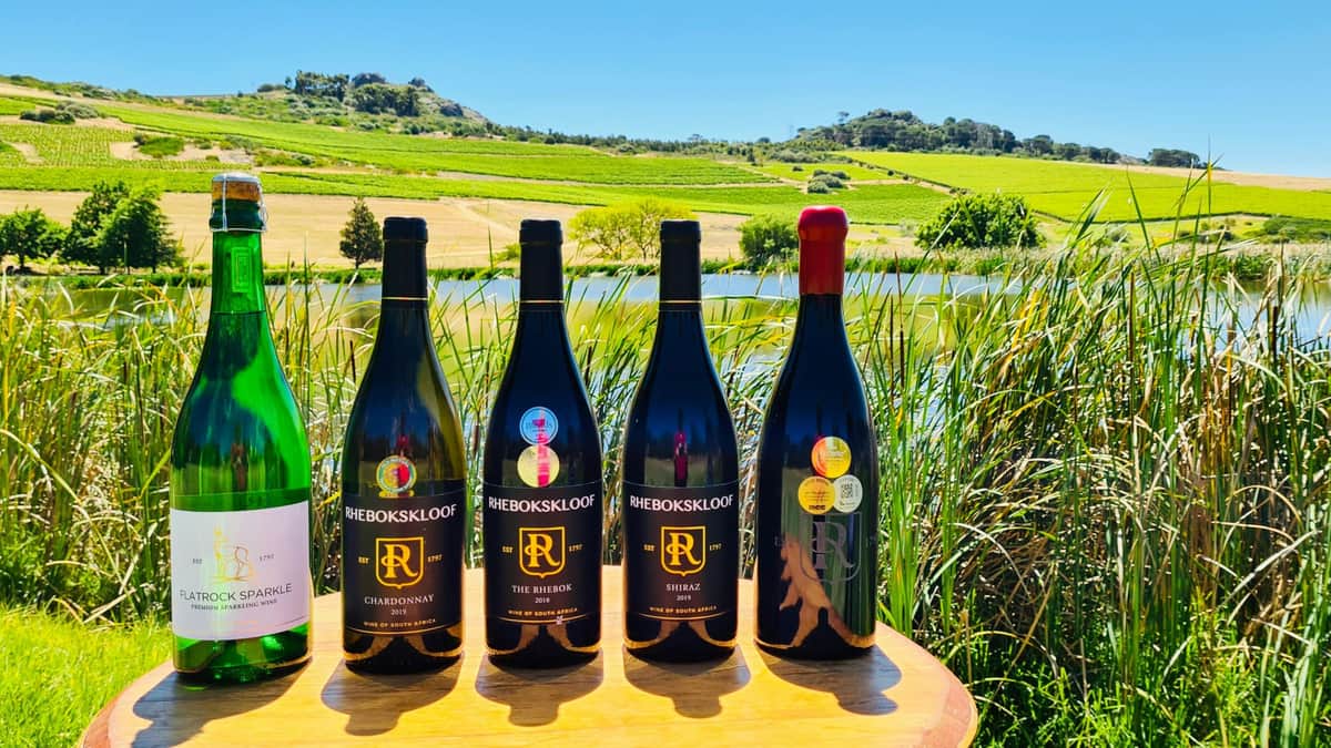 Paarl, Franschhoek, Stellenbosch Region Explorer Wine Tour Rhebokskloof