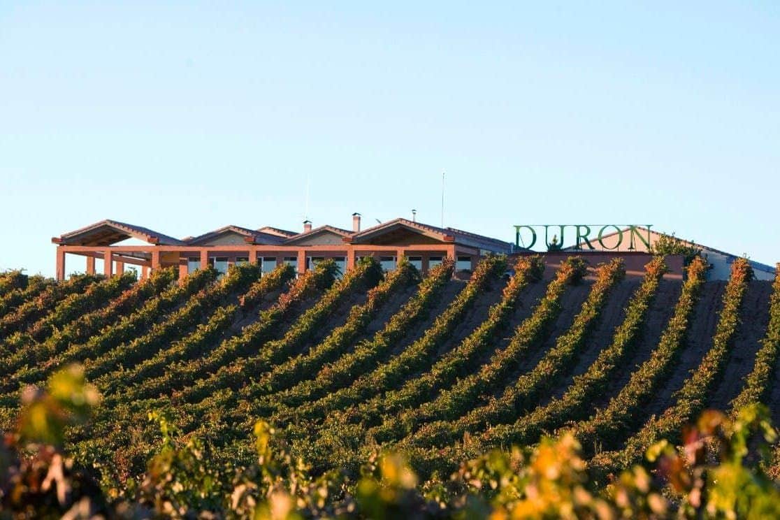 Vista de la bodega