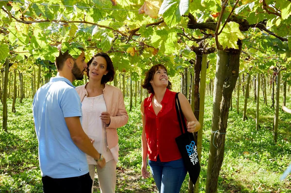 Txakolí Cellar & Getaria: Guided Tour from San Sebastián Three people stand under grapevines, engaged in conversation. They are surrounded by lush greenery and sunlight filtering through the leaves.