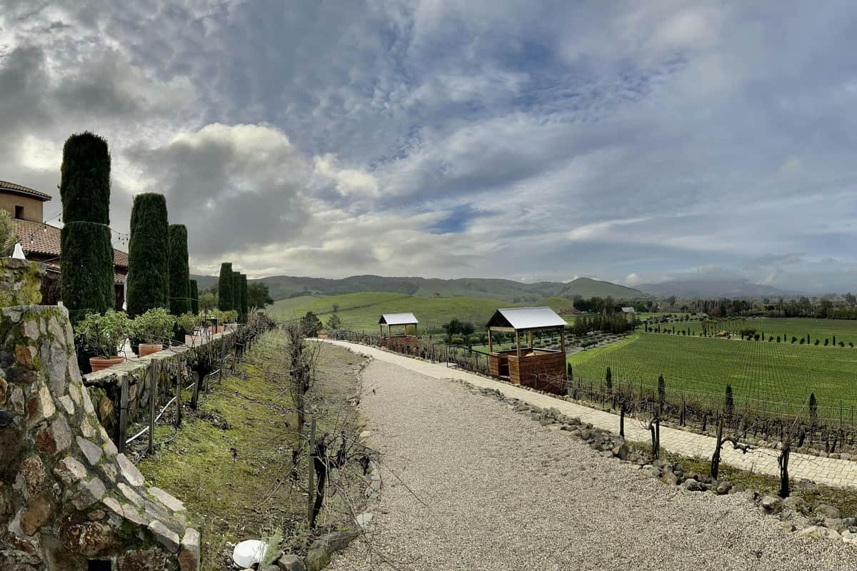 From San Francisco: Half-Day Wine Country Tour Views from the winery