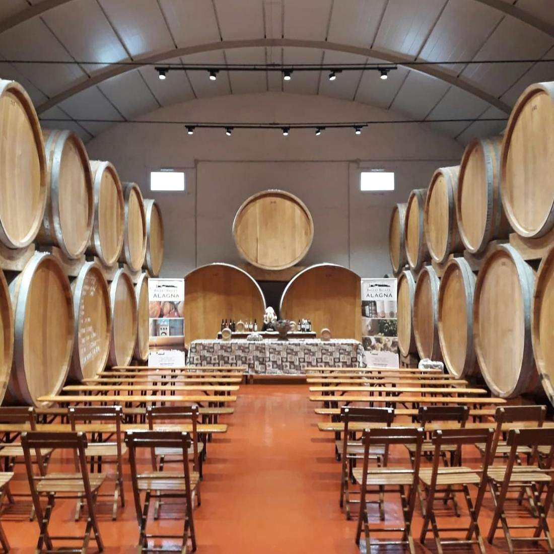 Rows of wooden chairs facing a table set up for wine tasting, surrounded by large stacked wine barrels in a dimly lit cellar.