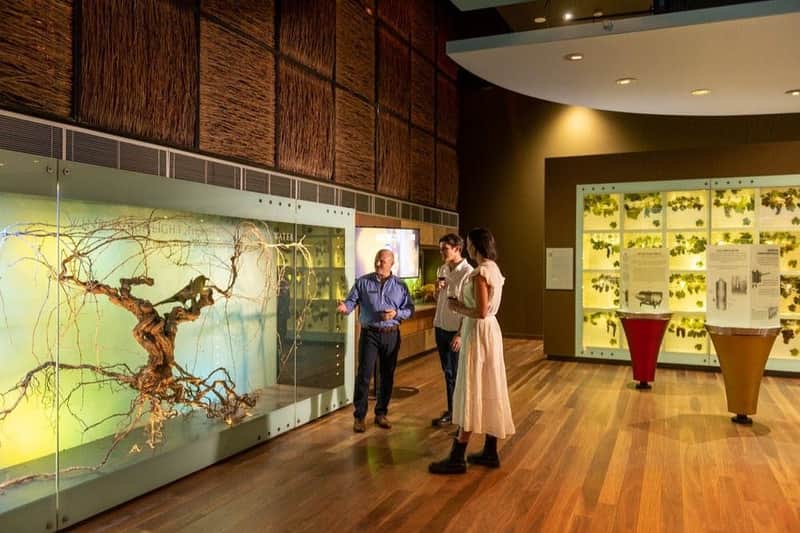 Nationaal Wijncentrum Australië: Rondleiding met gids + Wijnproeverij