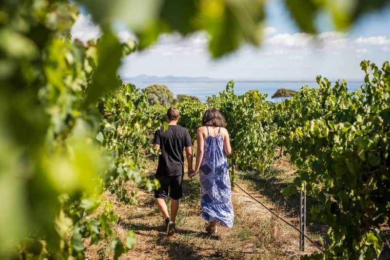 Around the Bay: Day Trip from Melbourne with Food & Wine Tastings