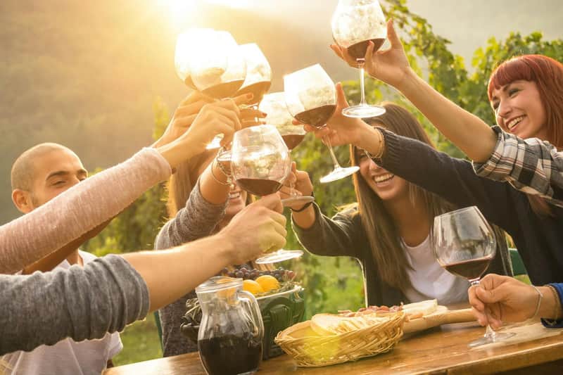 Yarra Valley & Dandenong Ranges: Day Tour from Melbourne + Lunch