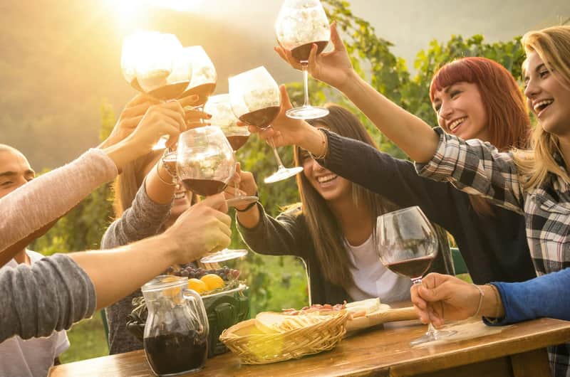Yarra Valley: Winery Tour with Lunch + Transport from Melbourne
