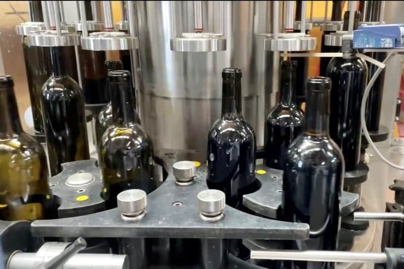 Reif Estate Winery: Walking Tour and Tasting