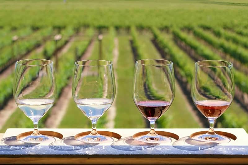 Niagara-on-the-Lake, Market & Winery Visit: Guided Tour from Toronto Niagara-on-the-Lake, Market & Winery Visit: Guided Tour from Toronto