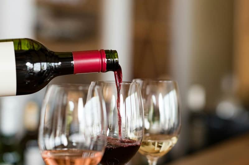 Médoc: Full-Day Wine Tour from Bordeaux
