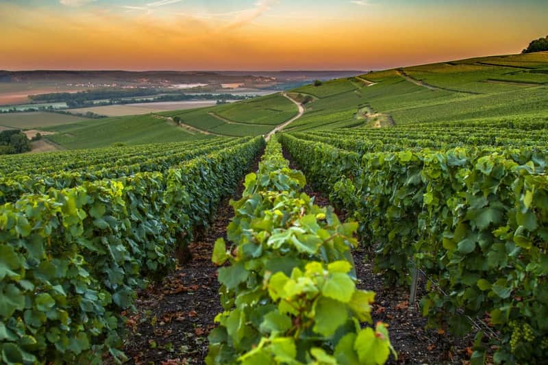 French Riviera: Nice, Gorges du Loup Waterfall + Wine and Tasting Day Tour