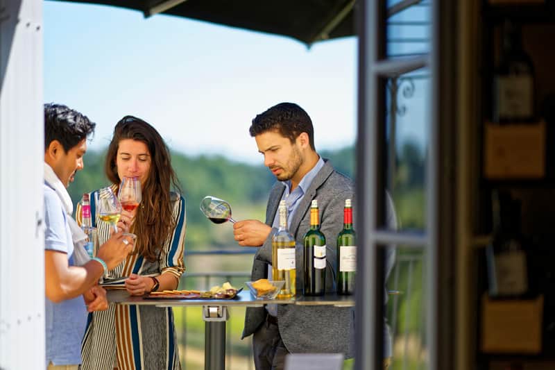 Château La Croizille: Guided Tour + Wine Tasting