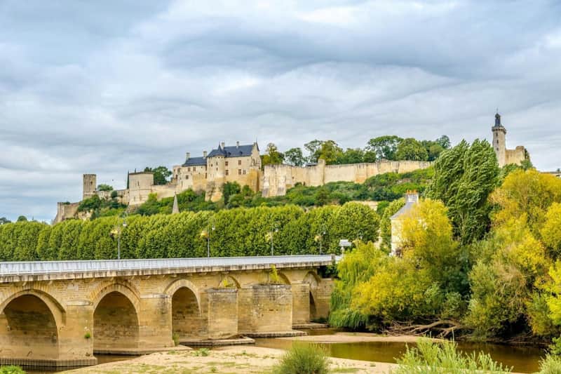 Loire Valley: Guided Chinon & Bourgueil Vineyards Tour from Tours + Wine Tasting