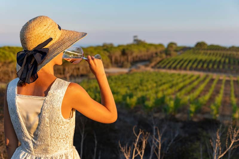 Wine Tasting and Visit to the Author's Cellar
