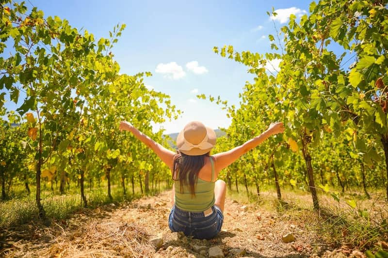 Chianti: Day Trip from Florence + Wine Tour & Tasting