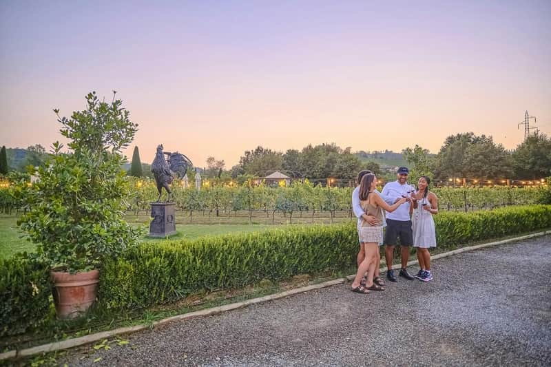 Chianti: Guided Winery Tour from Florence + Dinner