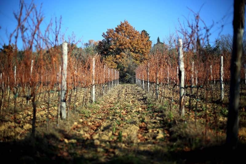 Chianti Region: Day Trip from Florence + Off-Road Tuscany Wine Tour
