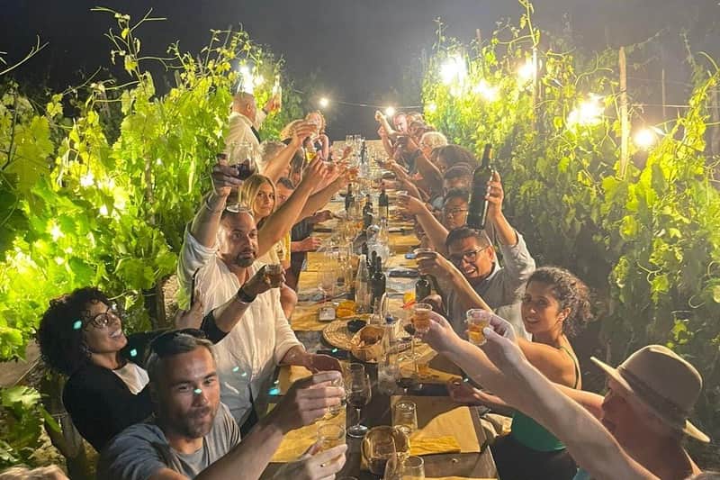 Chianti Region: Day Trip from Florence + Vineyard Dinner