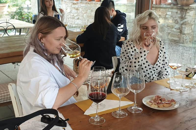 Florence: Wine Tastings + Minivan Tour