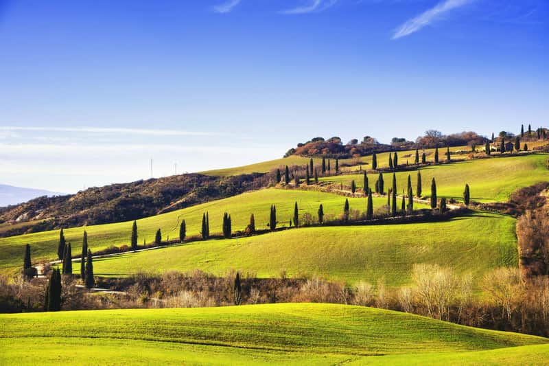 Val D'Orcia, Montepulciano & Pienza: Day Trip from Florence