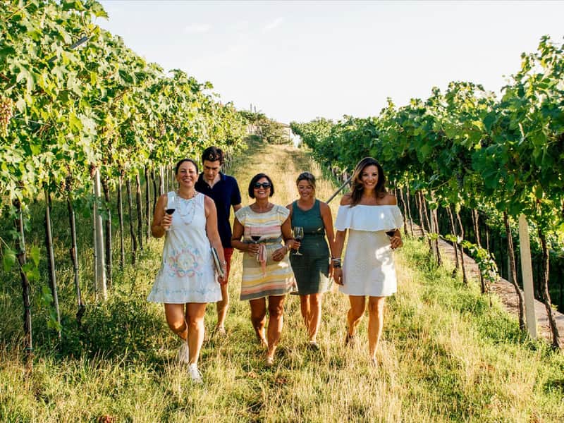 Verona: Valpolicella Winery Tour with a Winemaker