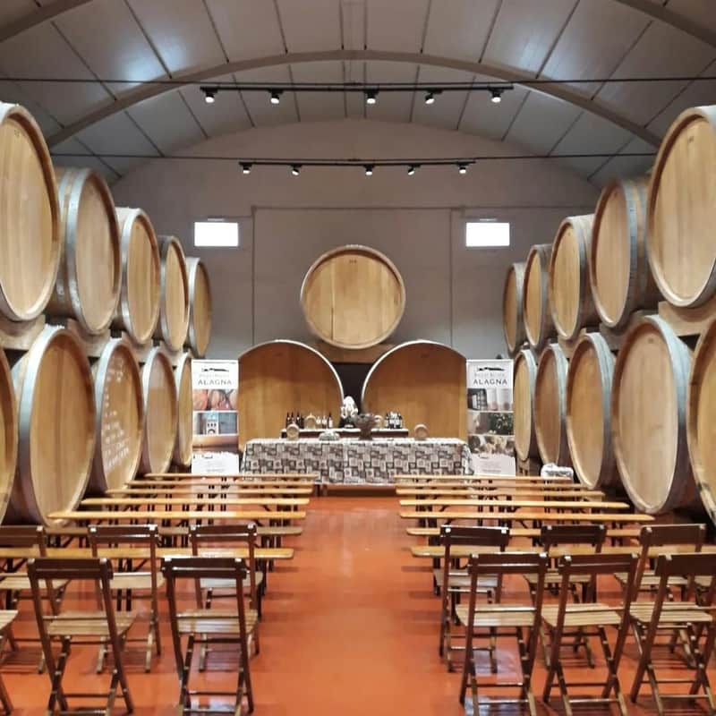 Wine Tasting in the historic Alagna Cellar in Marsala