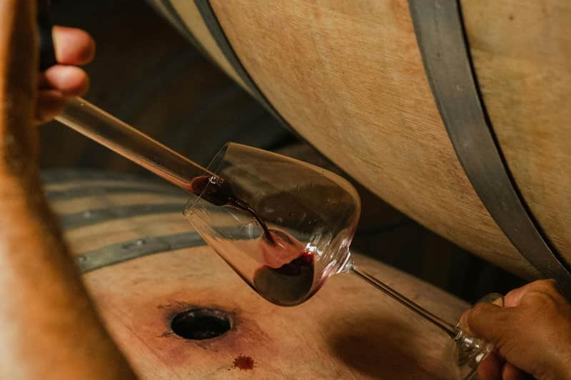 Corte Pavone Winery Estate: Backstage Brunello Tour + Gourmet Tasting