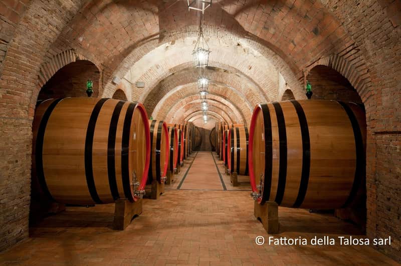 Montepulciano: Vineyard Guided Tour + Wine Tasting