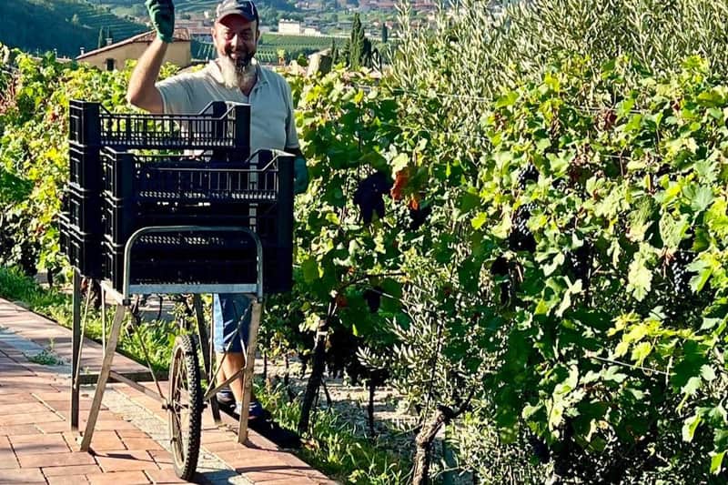 Cantina Fratelli Vogadori: Valpolicella Wine Tasting Experience
