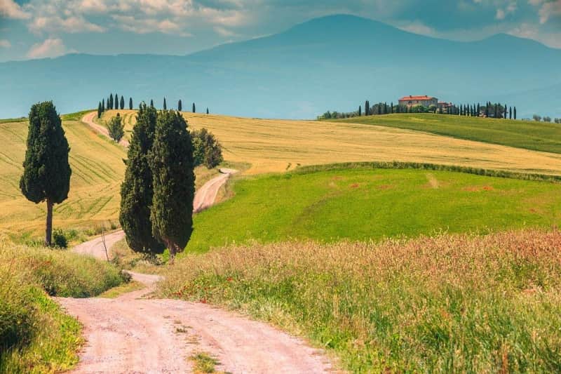 Chianti: Guided Tour from Siena + Wine & Olive Oil Tasting