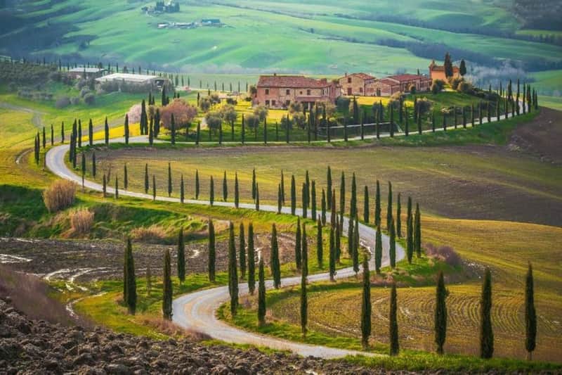 Montalcino: Wine Tasting Tour from San Gimignano