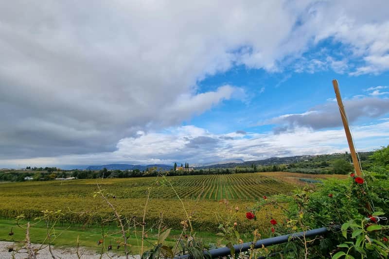 Lake Garda: Wine Tasting + Bardolino Vineyard Tour