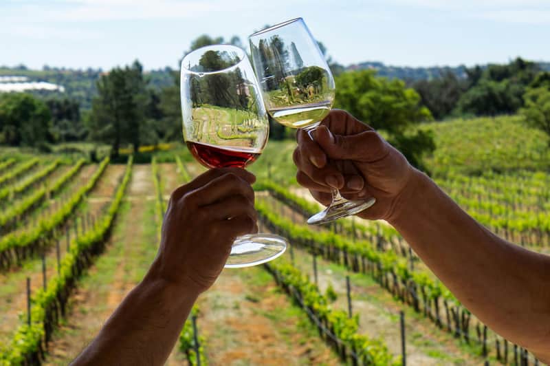 Algarve: Guided Wine Tasting Tour from Albufeira