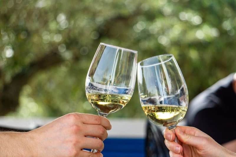 Algarve: Small-Group Guided Wine Tour + Silves Exploration