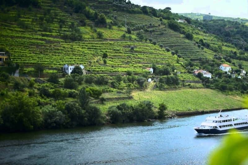 Douro Valley: Cruise + Breakfast, Lunch & Wine from Porto