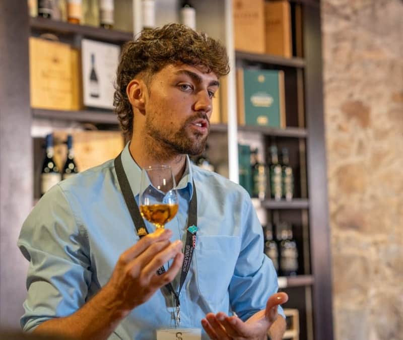 Porto City Tour Half-Day: Guided Visit with Wine Cellar and Tastings