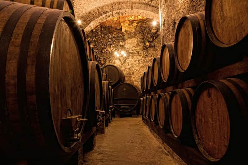 Porto: Guided Walking Tour + Lunch + Wine Tasting + Boat Ride