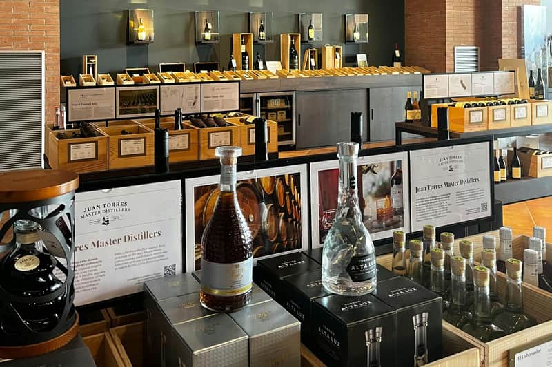 Barcelona: Guided Familia Torres Winery Tour + Tastings