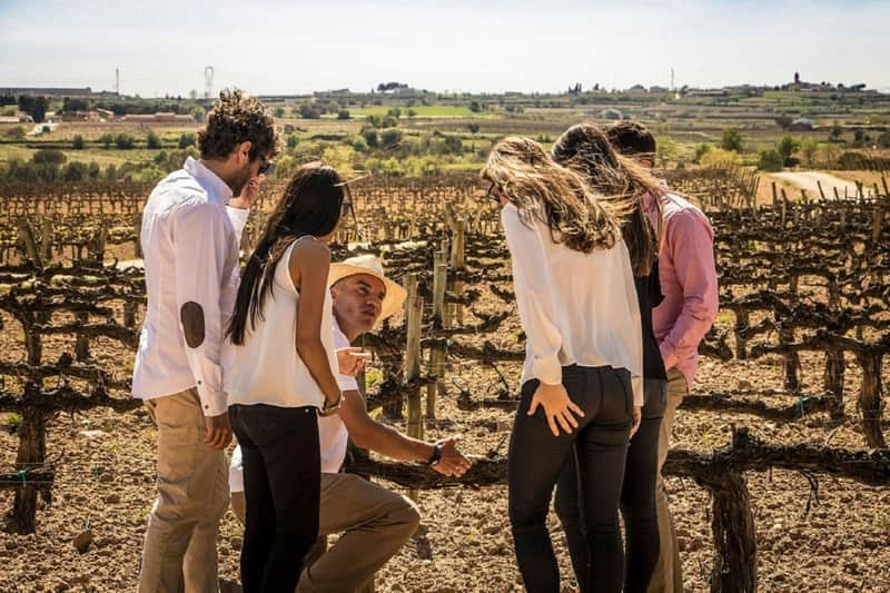 Barcelona: Small-Group Sailing Experience + Winery Visit & Tasting