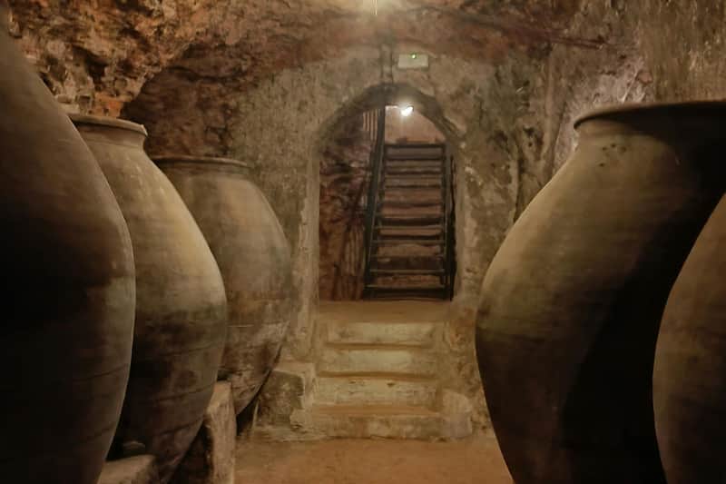 Alcalá de Henares: Guided City & Winery Tour from Madrid + Wine Tasting