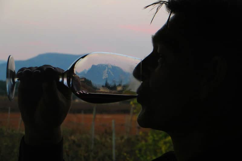 Mallorca: Bodega Tour + Transfer with Wine Tastings