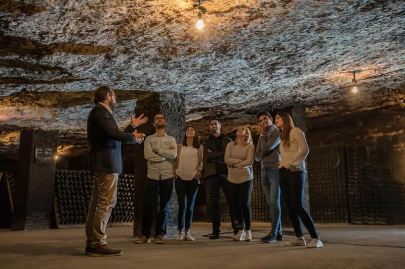Cavas Freixenet: Guided Winery Tour & Tasting + Aperitif
