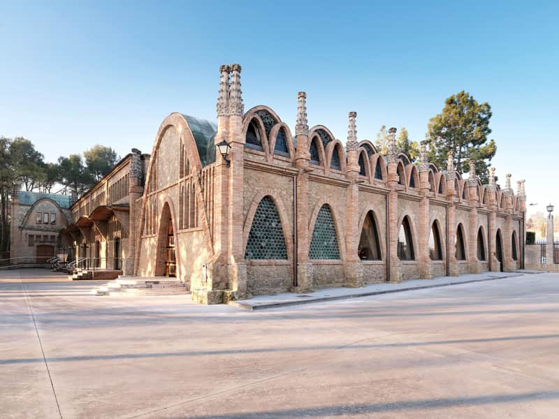 Codorníu Winery: Guided Tour + Cava & Appetizers Tasting