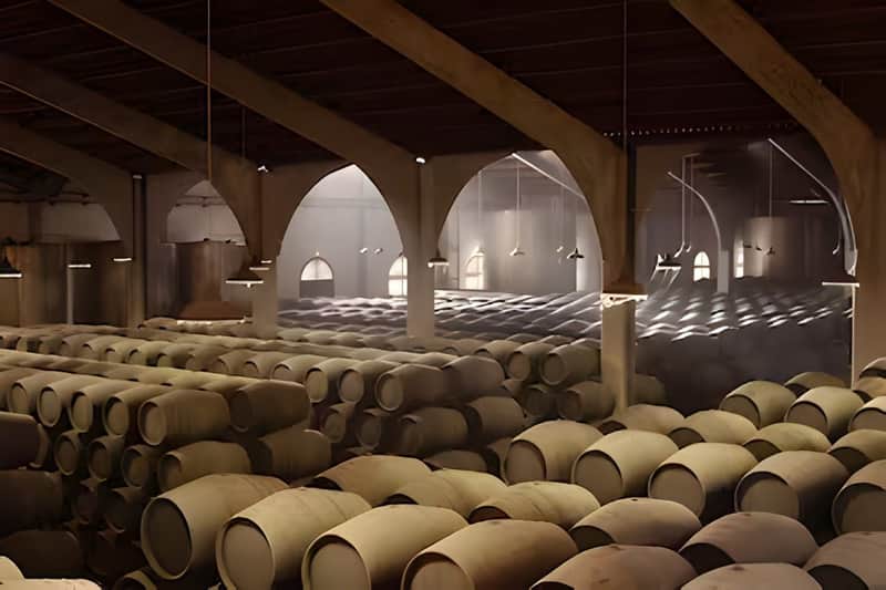 Jerez and Cadiz: Day Trip from Seville + Wine Tasting + Horse Show
