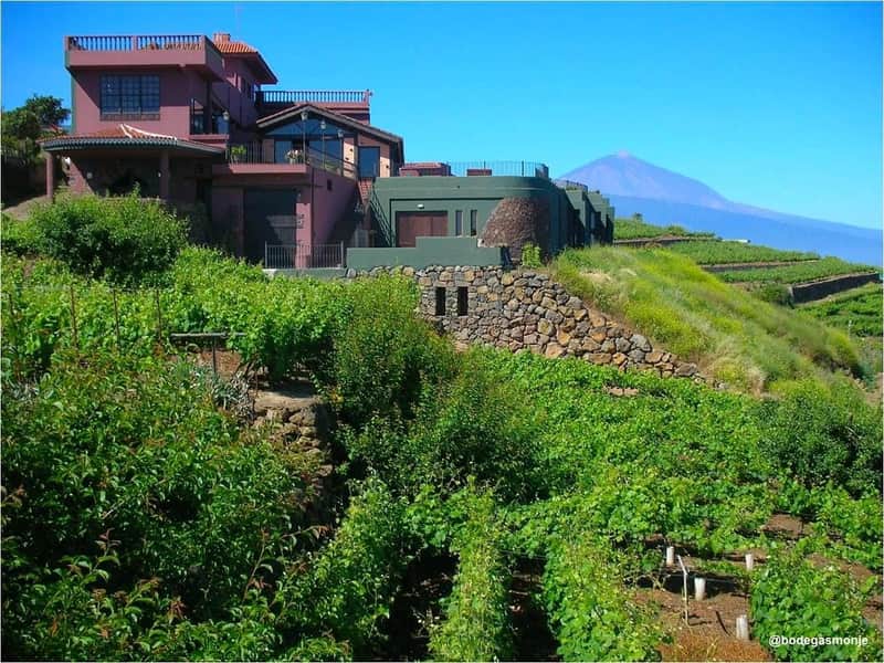 Bodegas Monje: Winery Visit & Wine Tasting